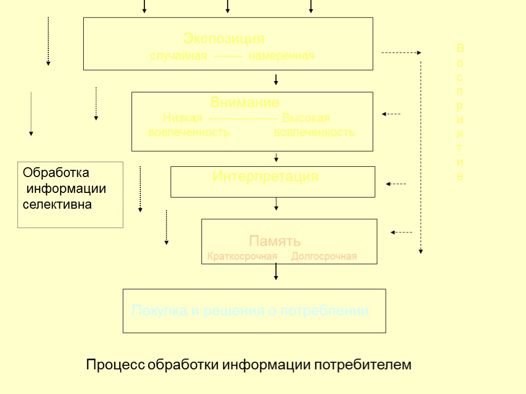 21 Процесс обработки информации потребителем